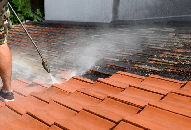 Best Power Washing Near Me  in Darien, GA