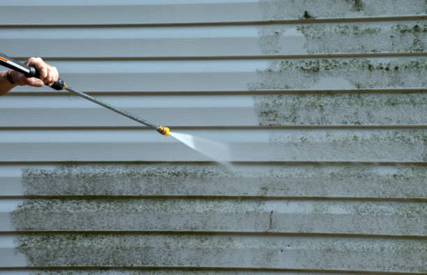 Best Pressure Washing Driveway  in Darien, GA