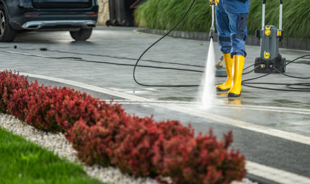 Best Pressure Washing Services for Businesses  in Darien, GA