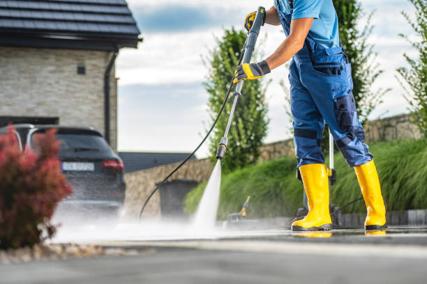 Best Roof Pressure Washing  in Darien, GA